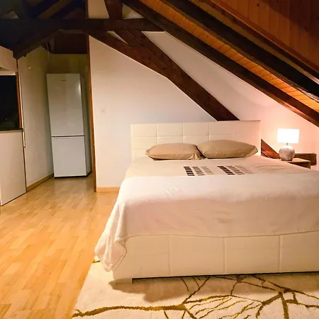 Petit Centre Montreux