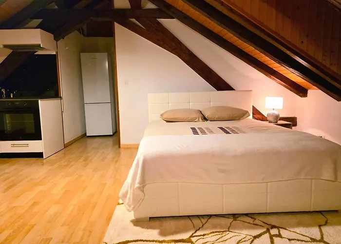 Petit Centre Montreux