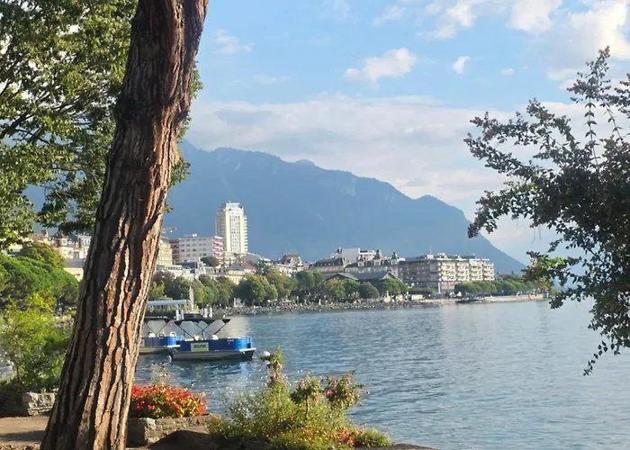 Petit Centre Montreux